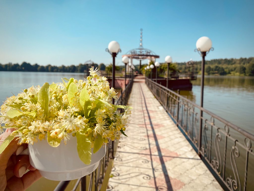 підтримка імунітету